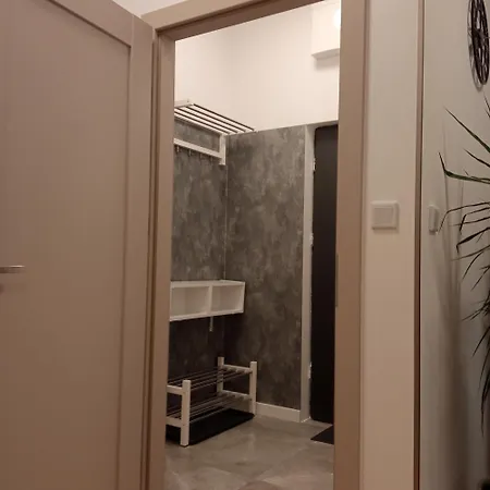 Lokomotiv 弗罗茨瓦夫